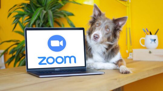 Jak działa Zoom?