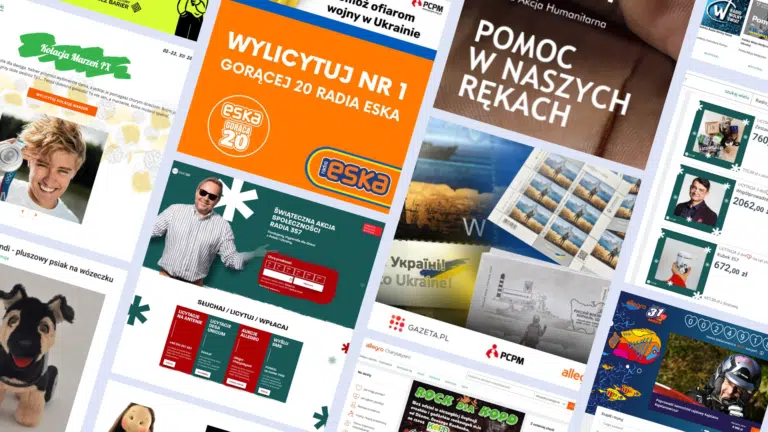 Aukcja charytatywna w sieci – jak ją zorganizować? Wskazówki i dobre praktyki polskich organizacji społecznych