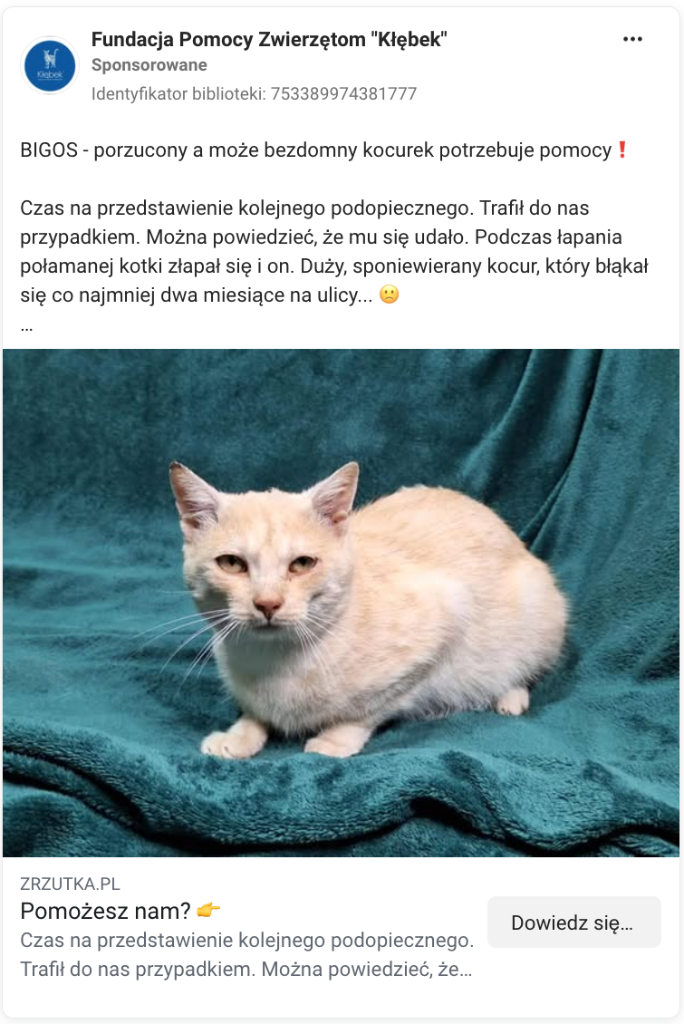 Przykład płatnej kampanii Fundacji Pomocy Zwierzętom „Kłębek”, kierującej do zrzutki; źródło: facebook.com/ads/library