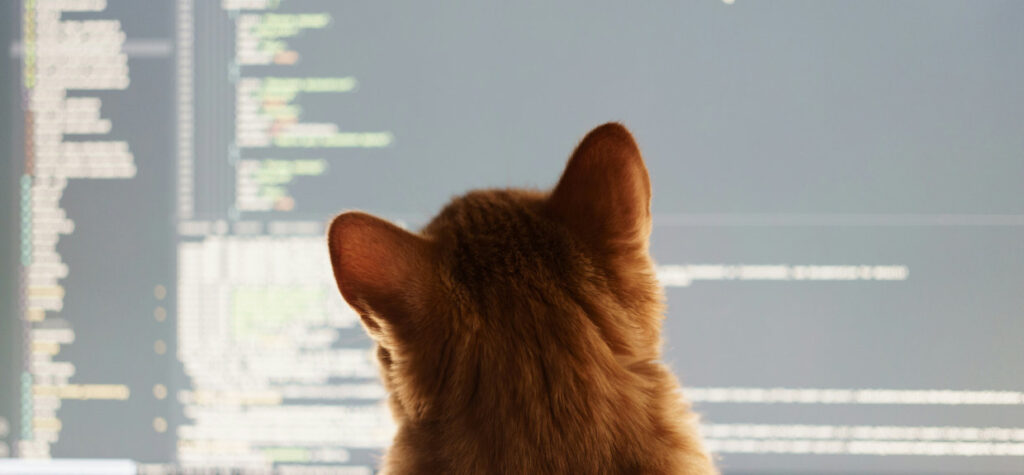 Vibe Coding: Programowanie dla wszystkich – jak NGO mogą tworzyć własne narzędzia bez znajomości kodu