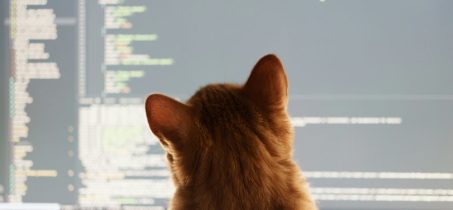Vibe Coding: Programowanie dla wszystkich – jak NGO mogą tworzyć własne narzędzia bez znajomości kodu