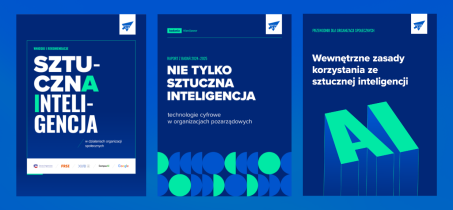 sektor30-ai-publikacje